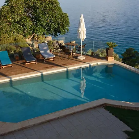 Apollon * 波多河丽