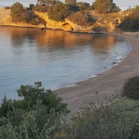 Apollon